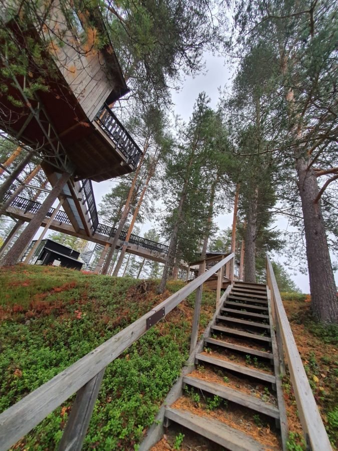 Wooden stairway climbs up to the birds nest accommodation at Granö Beckasin Sweden
