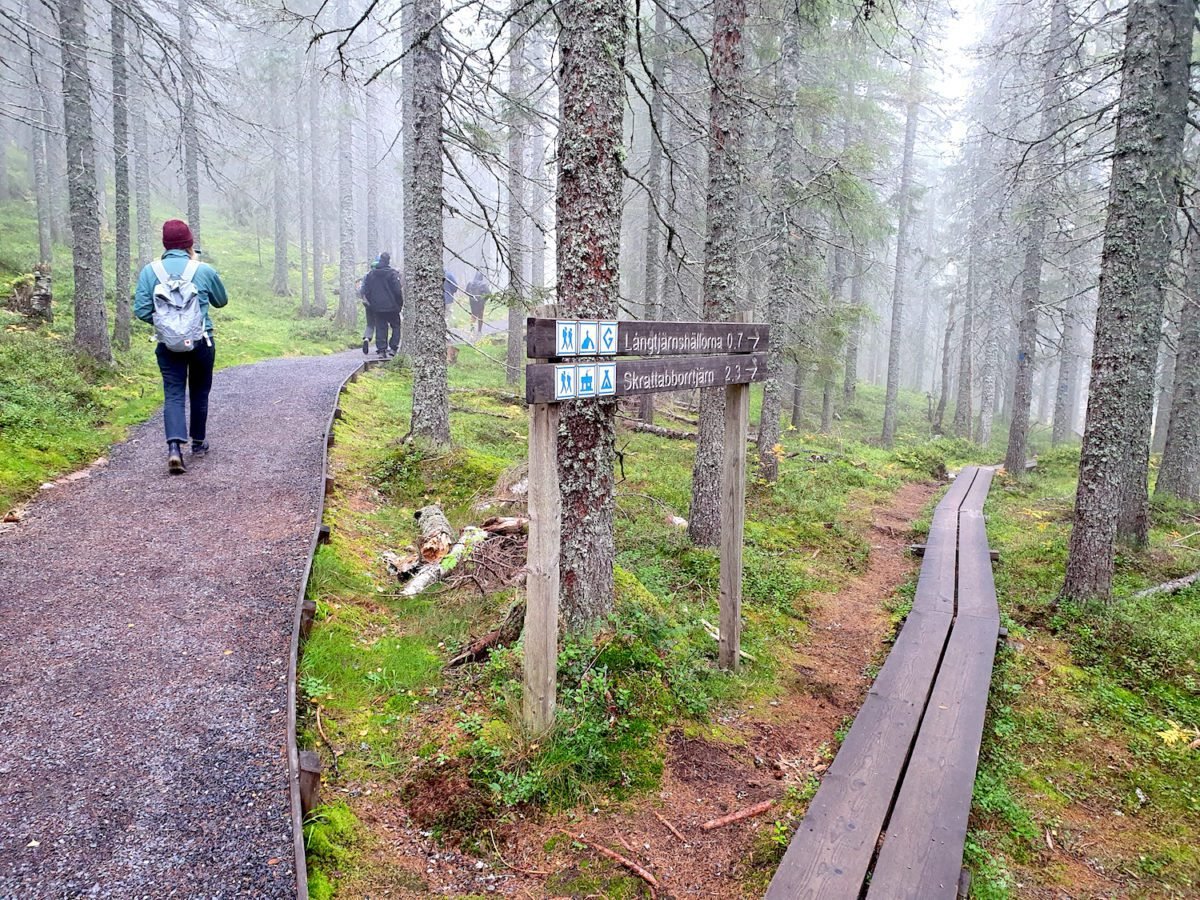 tracks in the Skuleskogen National Park on the High Coast of Sweden Höga Kusten