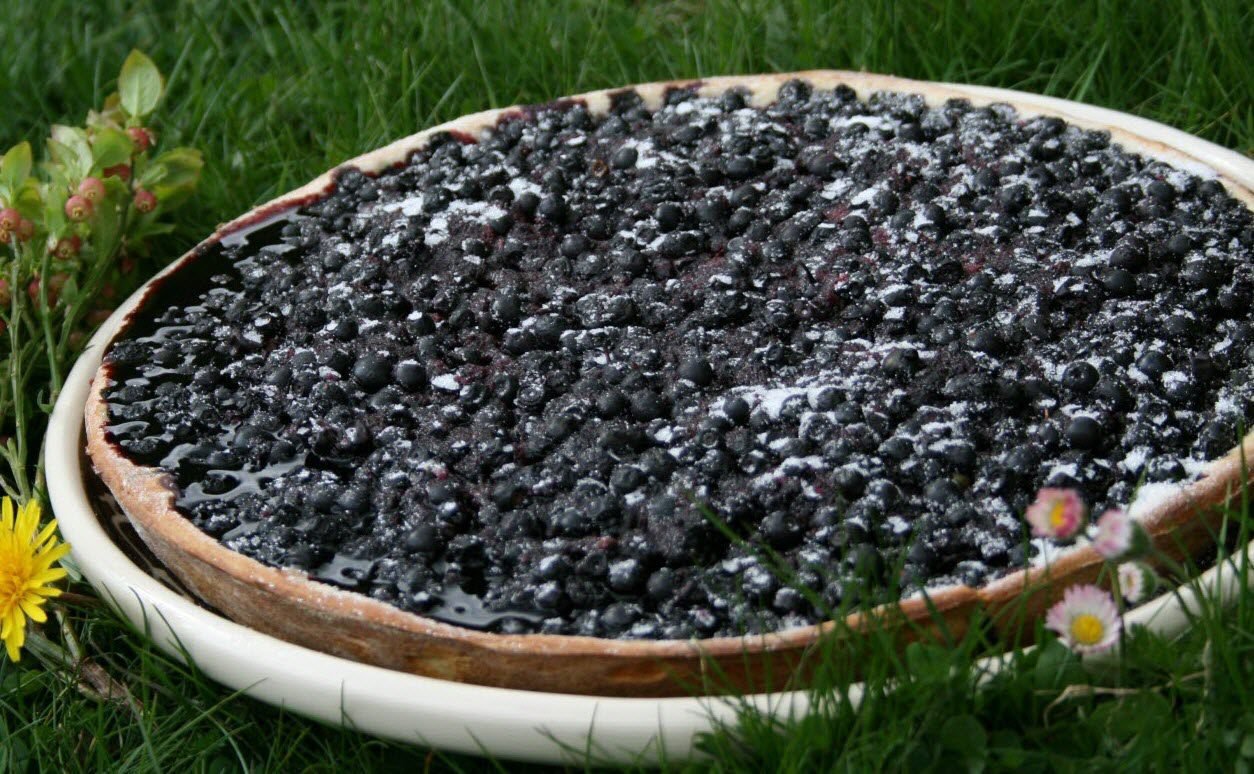 French tarts: blueberry tart from Alsace