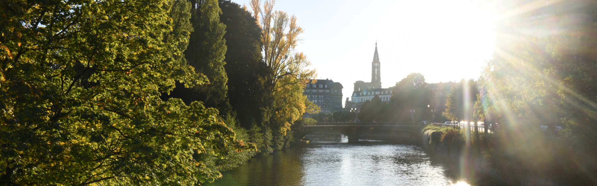 Amazing Food, Fairytale Villages on the Alsace Wine Route