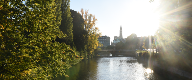 Amazing Food, Fairytale Villages on the Alsace Wine Route