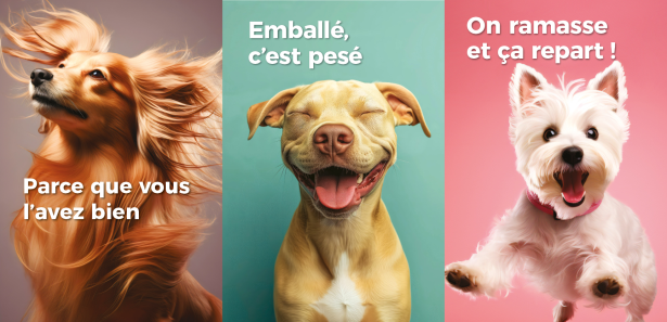 A Shitty Subject Revisited – Dog Poop in France