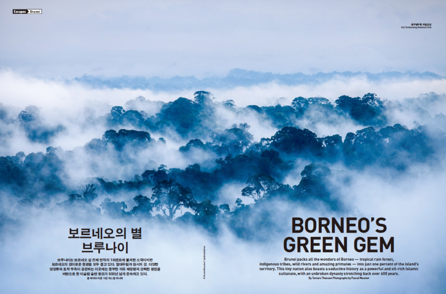 Mountains in the mist in Brunei in a story by Tamara Thiessen for Morning Calm Magazine called Borneo's Green Gem
