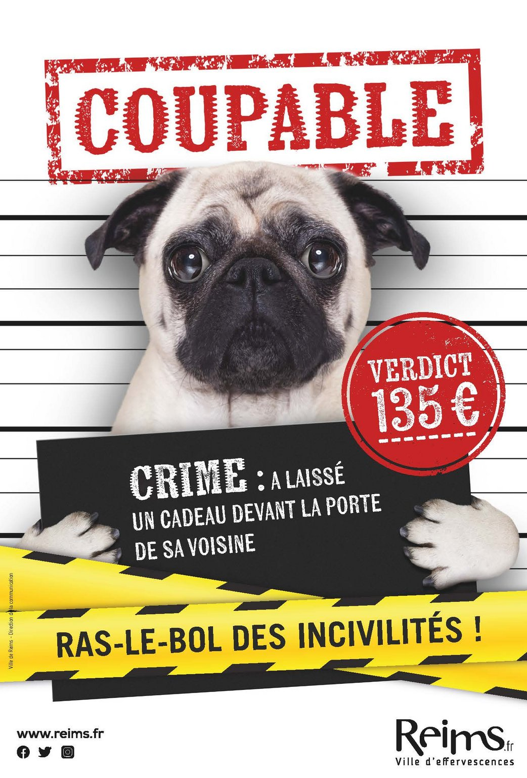 Guilty dog - chien coupable - of shitting in the city. Funny, but not really the dog's problem the chronic dog poop issue in France. Threats of fines aren't working