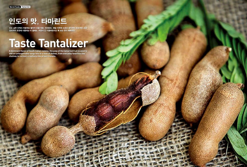 Tamarind pods laid out on a table in a story called Taste Tantalizer for Morning Calm Magazine on tamarinds in food in Kerala in India