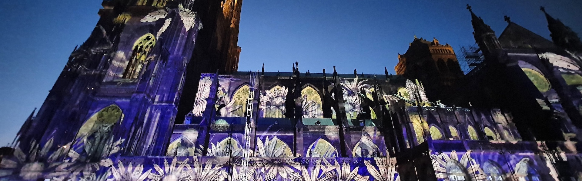 Strasbourg Cathedral Dresses Up To The Nines: Watch the Light Show