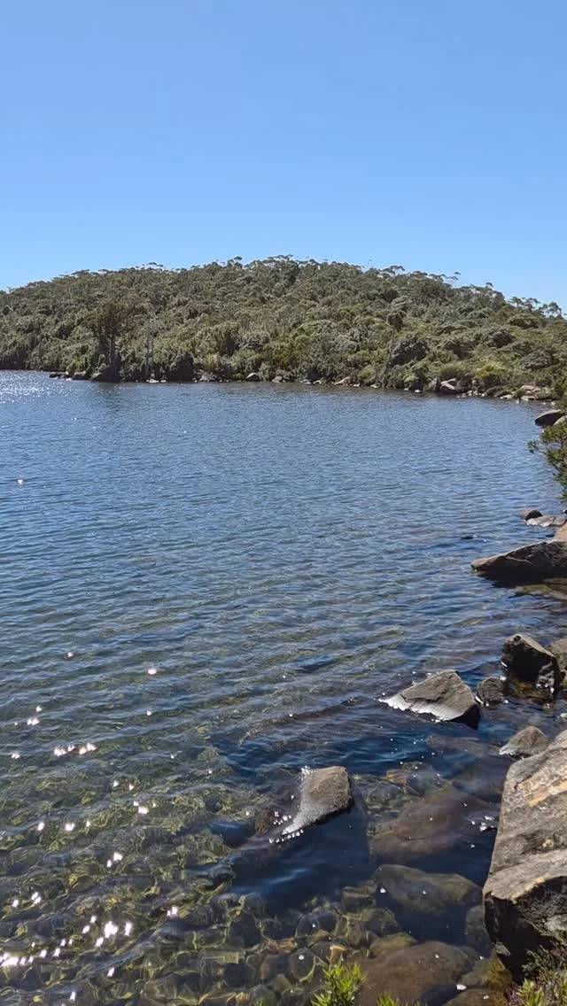 Étude dans un lac montagneux en plein cœur de la Tasmanie sauvage.Sparkling diamonds on the water. Lake Osborne, Hartz Mountains National Park.An incredible taste of Tasmania's Southwest wilderness, an easy 90- minutes drive from the capital.The glacial lake is hemmed in by King Billy pines, gnarled trunks, and foliage and flowering plants of multiple hues.While the 25-minute walk in is one of a wonderland trail through a cross-section of subalpine rainforest, moorland, and ancient glacier-shaped ecology.I can't get enough of it. I could watch it all day, through its wavering waters and changing moods, which no doubt include some very freezing and wild moments.#outdoors #mountain #landscape #nature #hiking